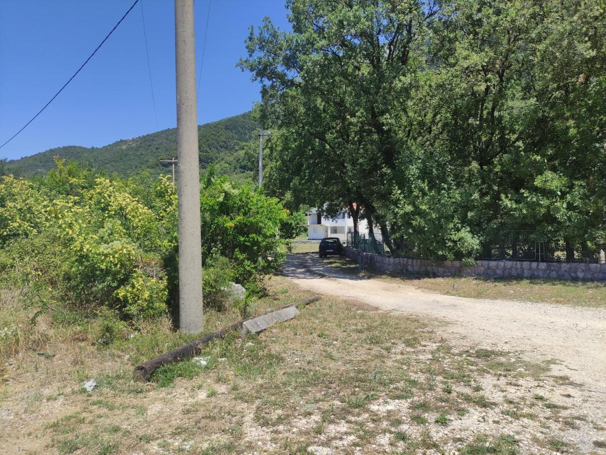Apartman Bujkovic Sutvara Kotor Quarto foto